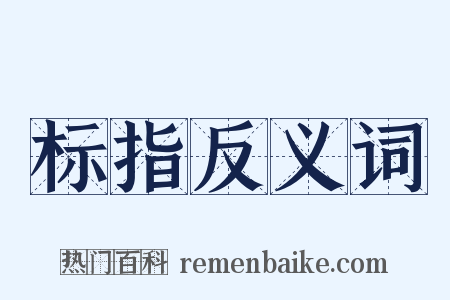标指反义词是什么意思的图片